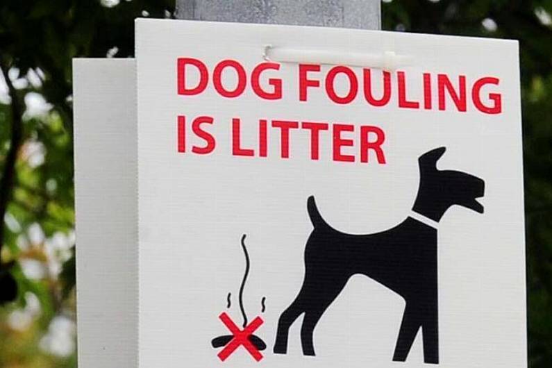 Kerry handed out&nbsp;highest number of fines for dog-fouling nationally last year