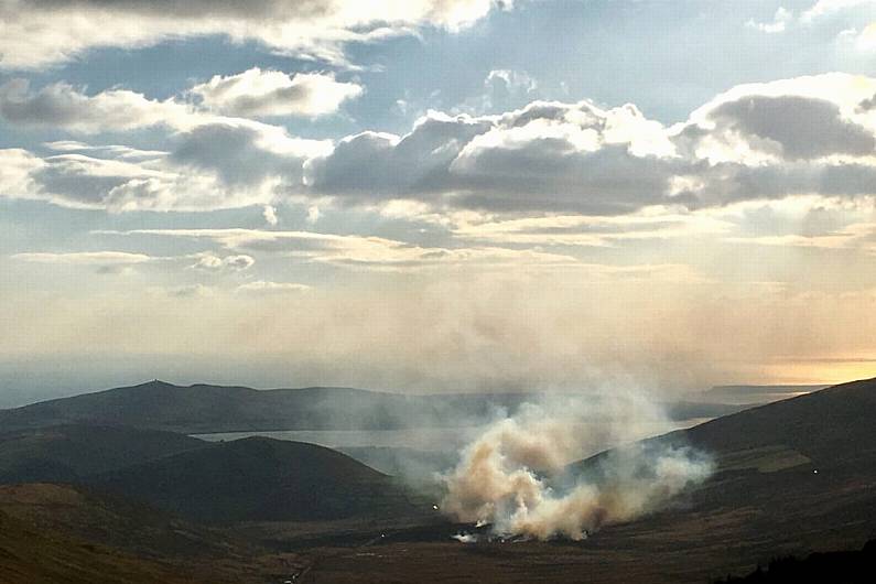 Calls for council to provide training following 142% increase in gorse fires in Kerry