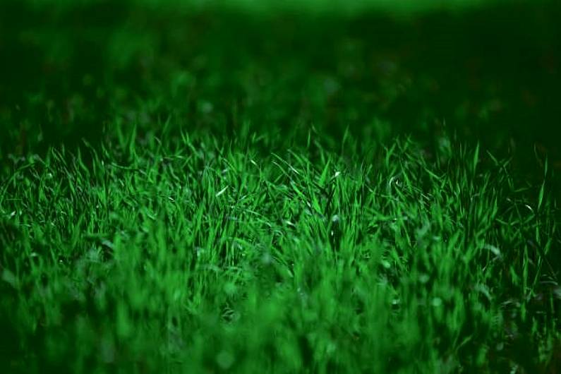 Grass growth in Kerry highest in Munster and above national average