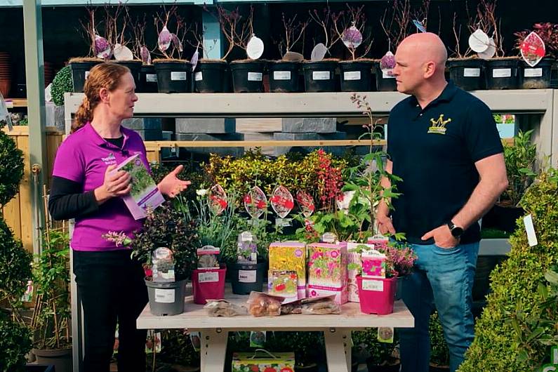 Wildflowers | The Kerry Garden Show 2022 | Episode 9