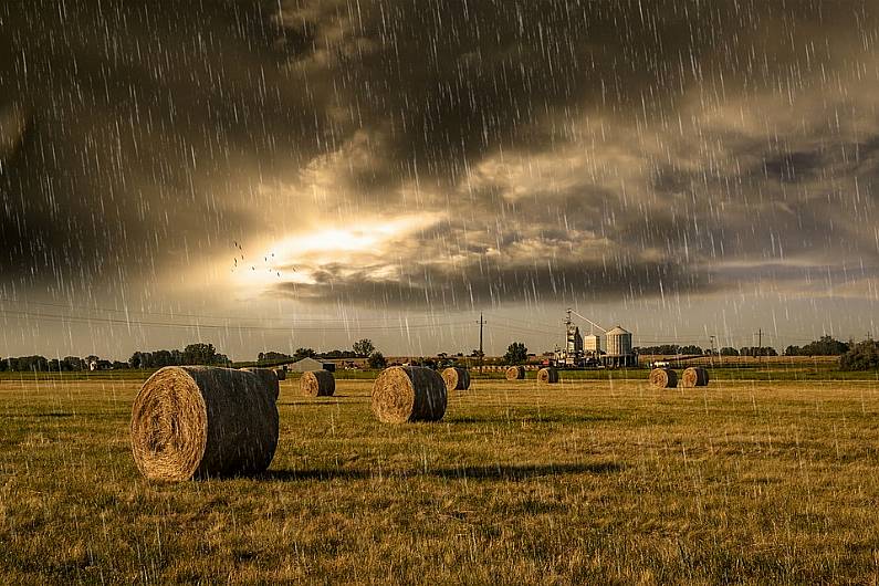 Jones: Fodder measures to support farmers feed animals welcomed - but more needed