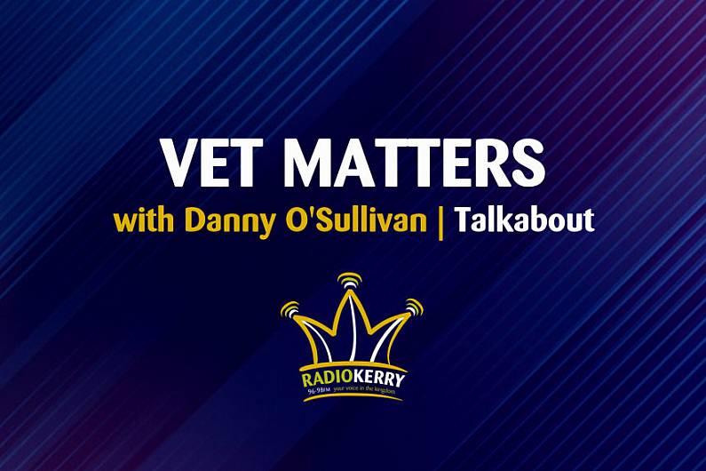 Vet Matters | July