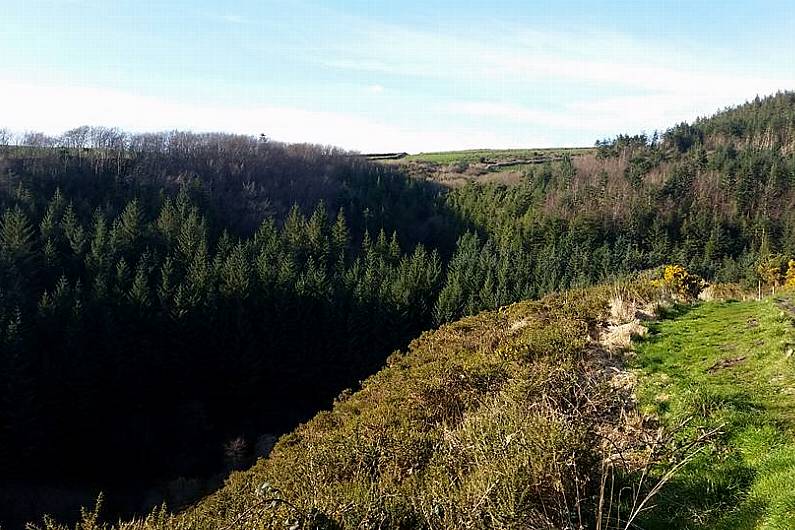 Coillte committed to future of Glanageenty