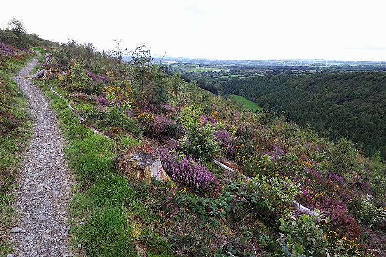 Kerry Coillte forests see significant increase in visitor numbers