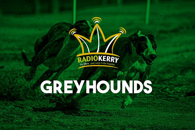 Kingdom Greyhound Stadium Review