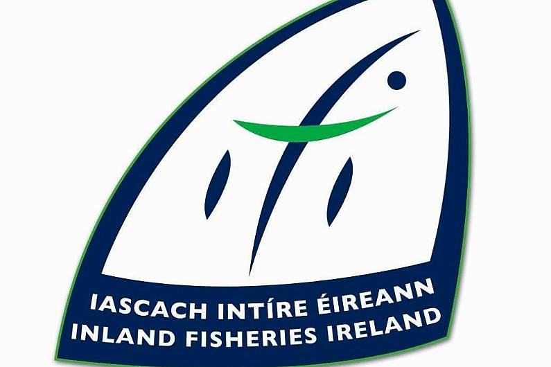 Inland Fisheries Ireland recruiting seasonal officers in Kerry