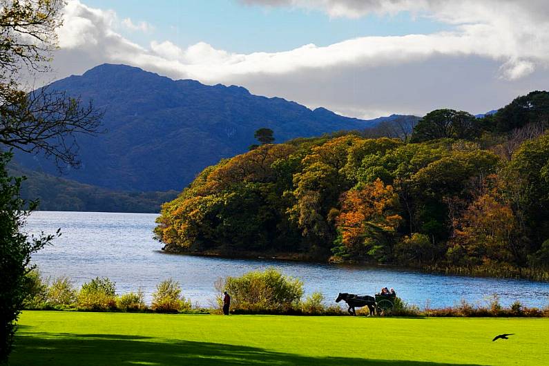 Giant outdoor umbrellas could help Killarney become Ireland's al fresco dining capital