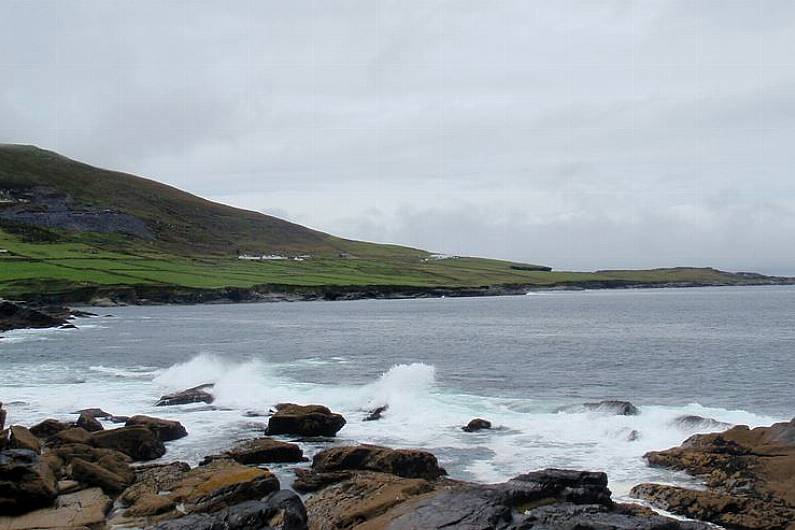 Walrus washes up on Valentia Island