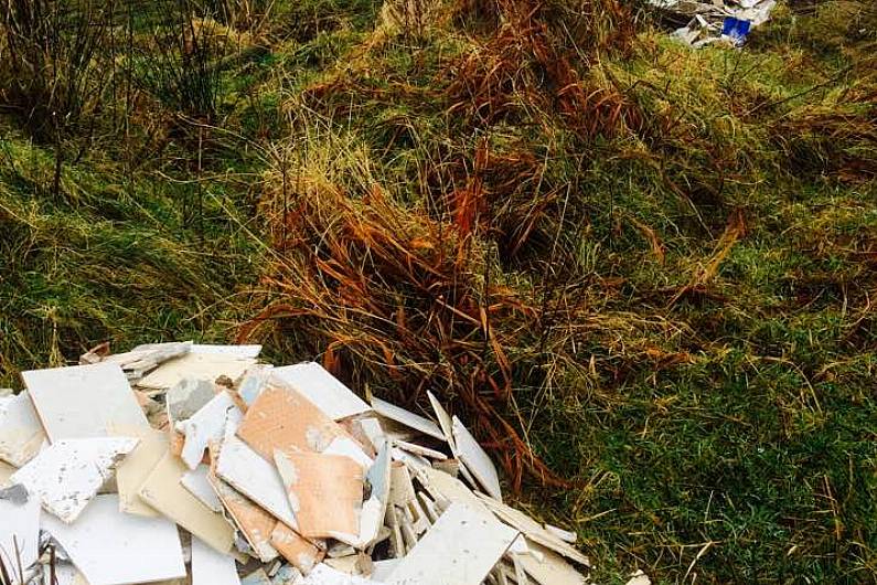 Calls for Kerry County Council to name and shame people found guilty of illegal dumping