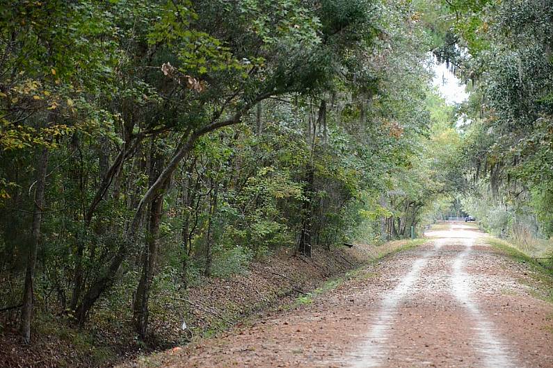 Hopes part of Tralee - Fenit Greenway will open before next summer