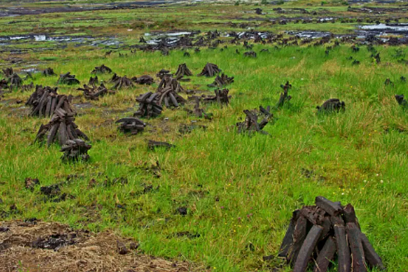 Local TD critical of European Commission legal move on Irish bogs