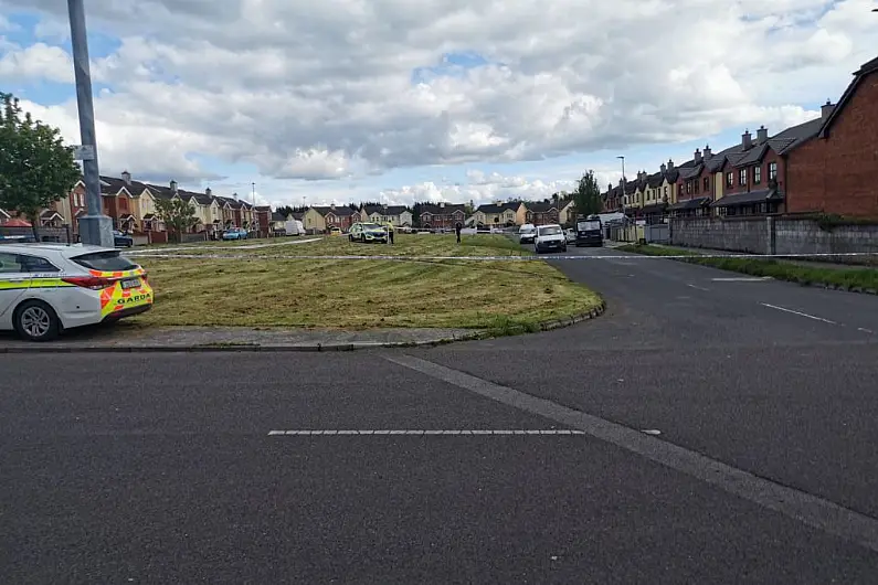 Boy dies in fatal crash in Longford