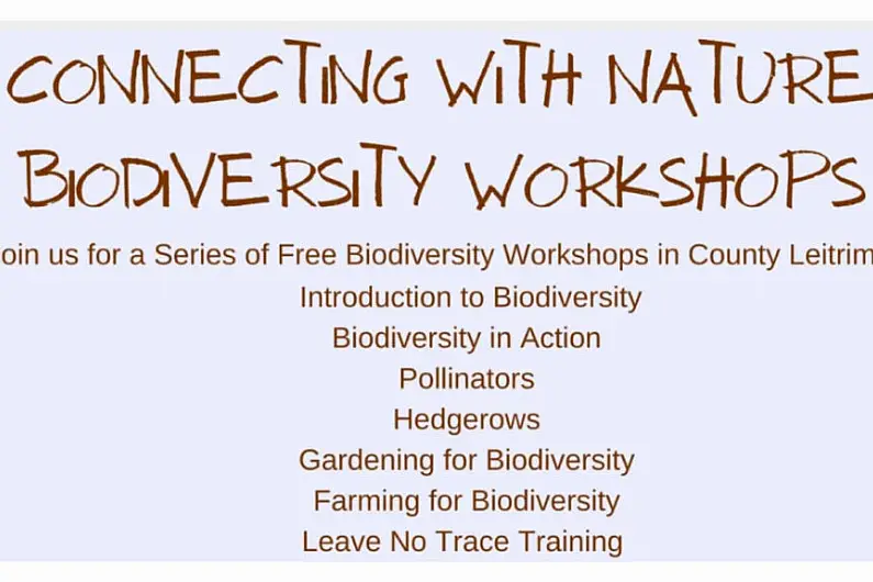 Programme of workshops connecting local biodiversity planned for Leitrim