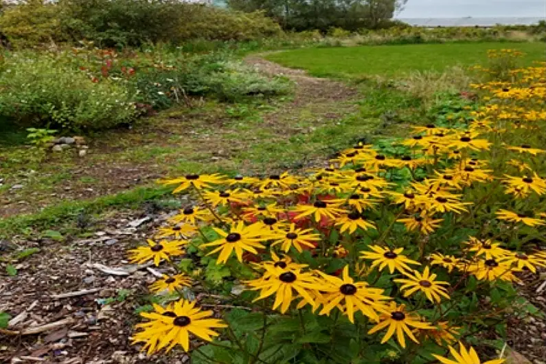 Appeal to people to respect Ballaghaderreen Community Garden