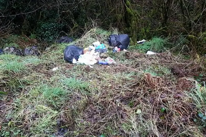 Almost 240 illegal dumping complaints made in Longford this year