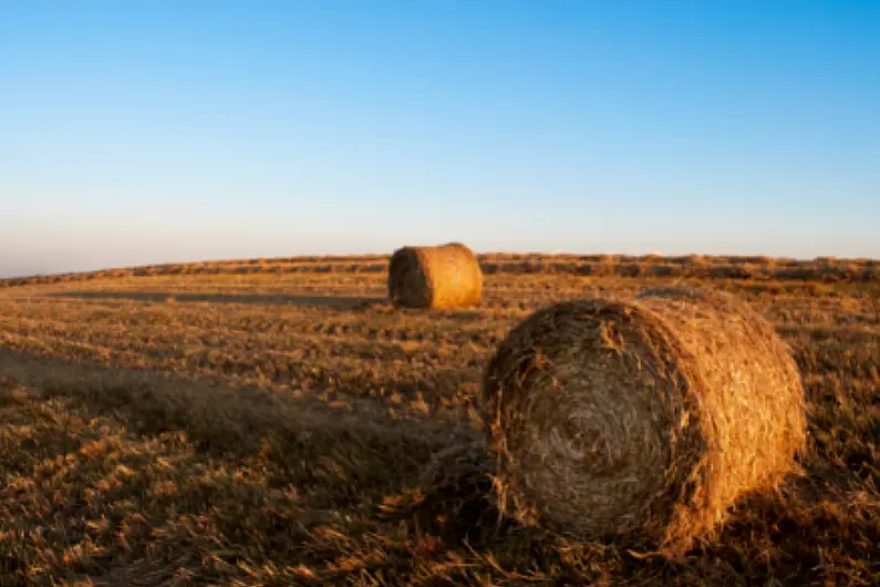 Leitrim Social Farming praised by Ukrainian Ambassador