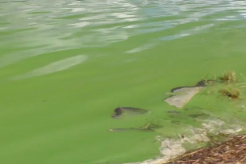 Algal bloom warning issued for popular Leitrim lake