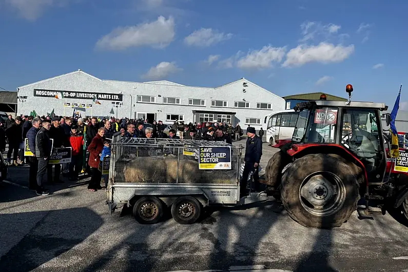 IFA protesters call for increased sheep welfare schemes