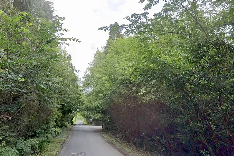 Call for mountain bike trail in Newcastle forest Ballymahon