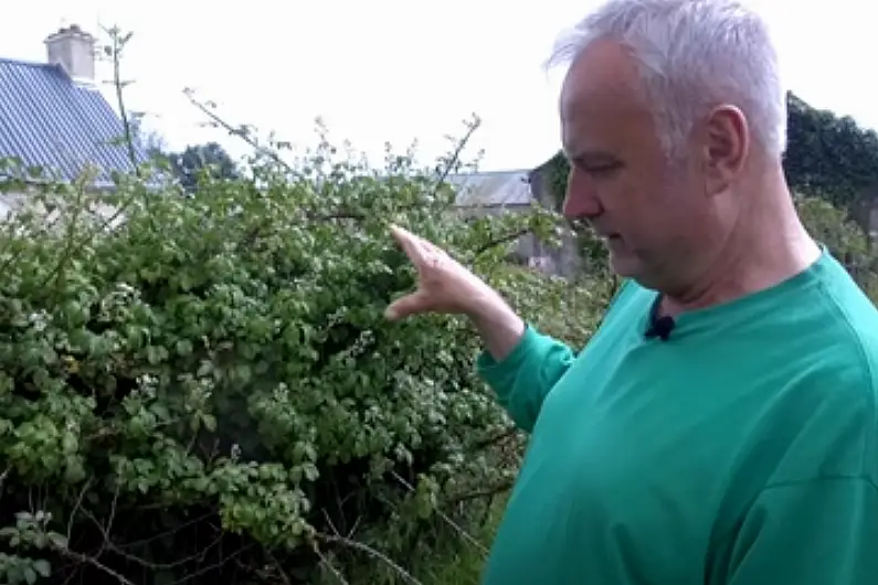 Longford farmer wants more incentives for those who protect nature