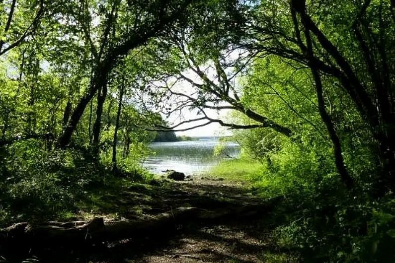 Rural Ireland Organisation believes new forestry deal must be stopped