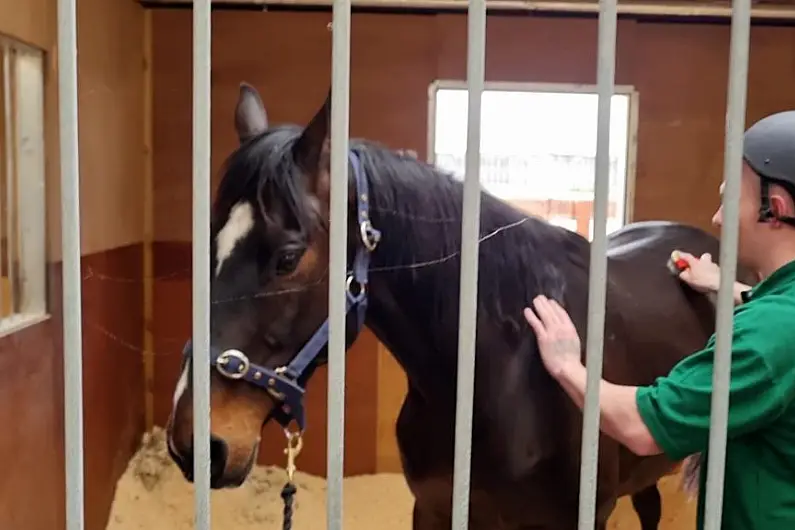 Inmates praise new Castlerea Prison Equine rehabilitation centre