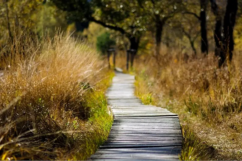 Calls for local councils to work in tandem on boardwalk plans for Lanesboro