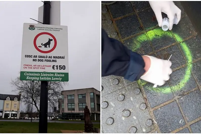 Just three dog fouling fines issued locally last year