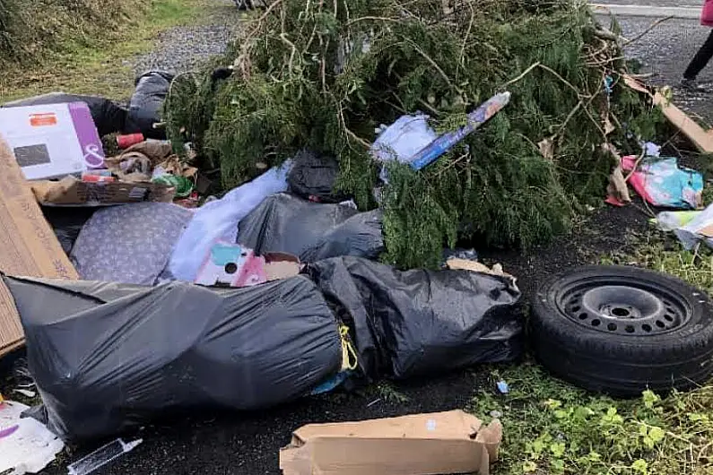 More prevention measures needed to stop illegal dumping says Longford Councillor