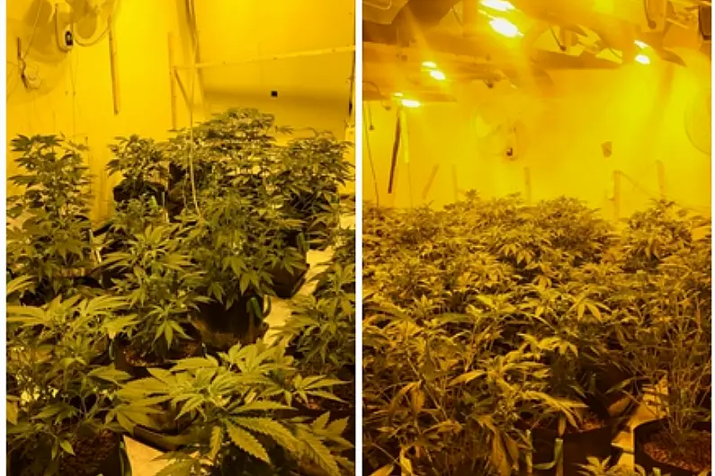 Garda&iacute; arrest 3 following cannabis grow house raids in East Galway