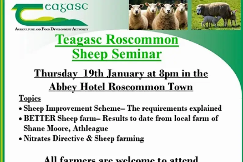 Sheep price crisis on agenda for Teagasc Sheep Seminar this evening