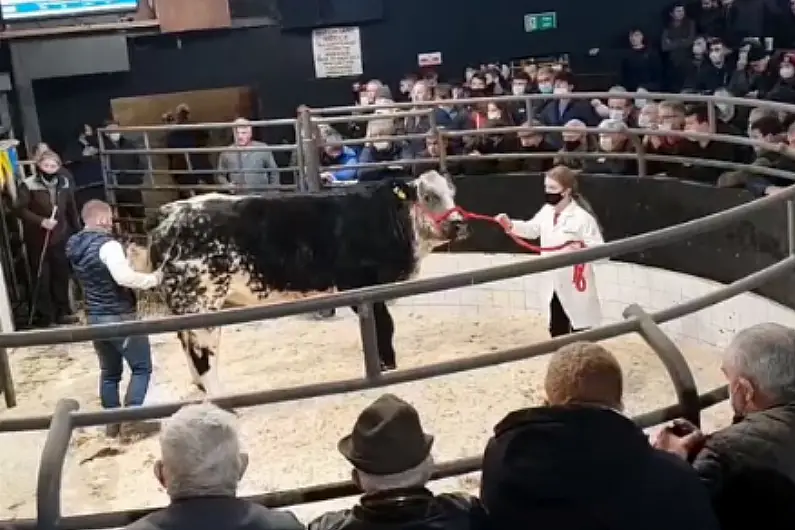 Tulsk man shares secret to record breaking sale at Elphin mart