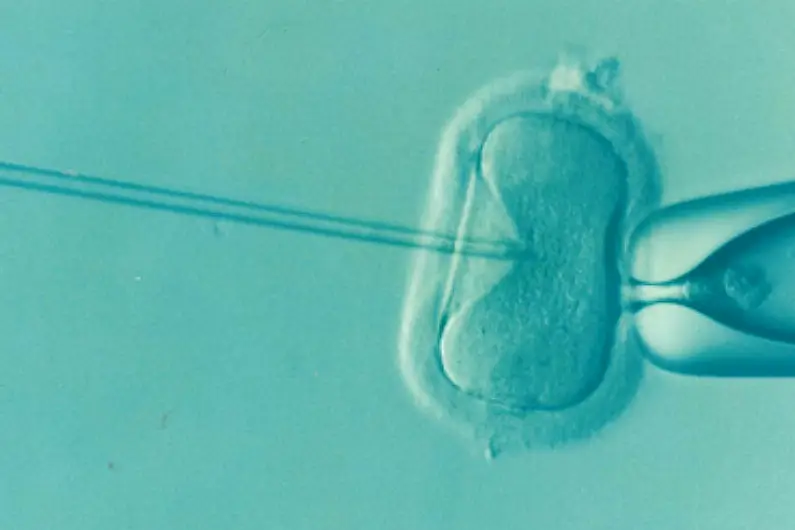 Government announce plans to fund IVF treatment from next year