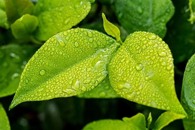 Biomethane produced in Longford could reduce carbon emissions