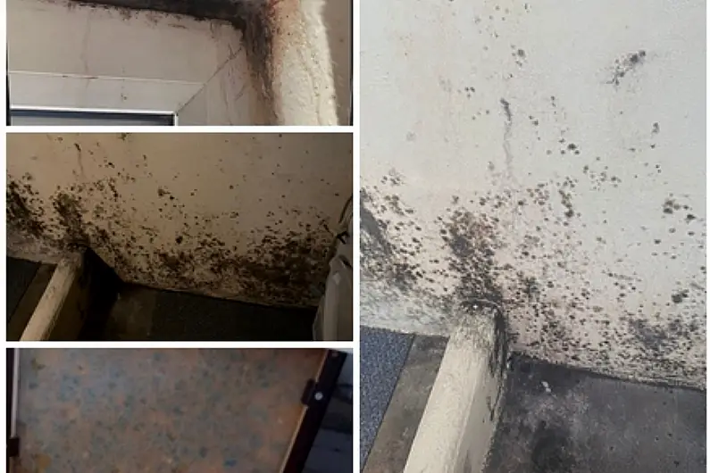 Leitrim County Council accused of being 'bad landlord' over damp and mold issues