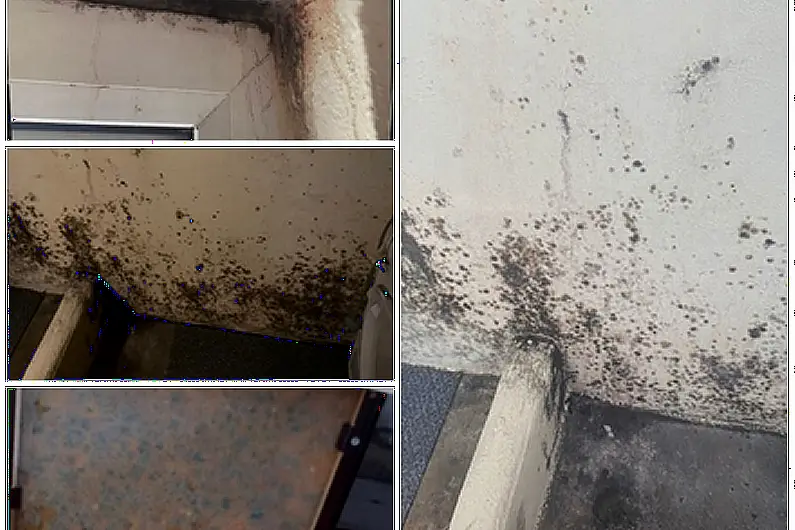 Leitrim couple move out of mould-affected council home