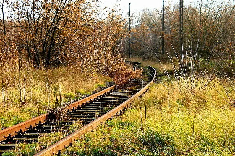 Reopening former rail lines will massively benefit local communities-Green Councillor