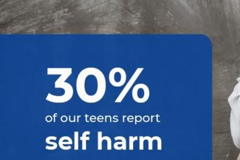 One-in-three Roscommon young people has self harmed - survey