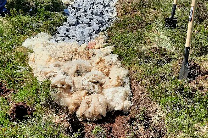 LISTEN: Sheep wool used in developing new bog walk on Leitrim Way