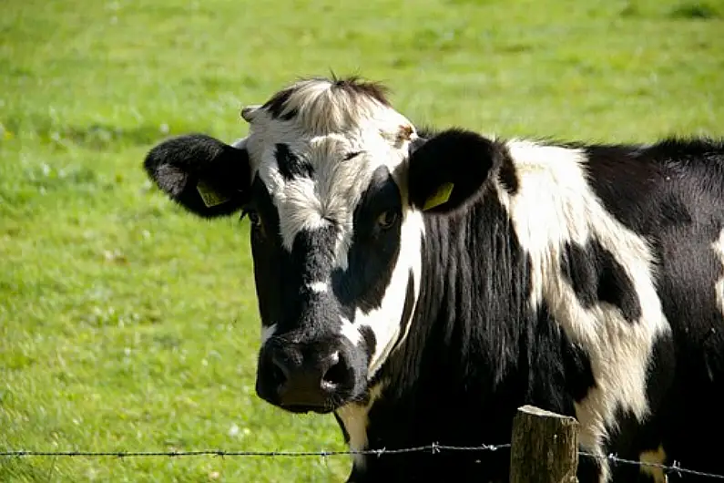 Task force needed to help community deal with Dairy Plant closure