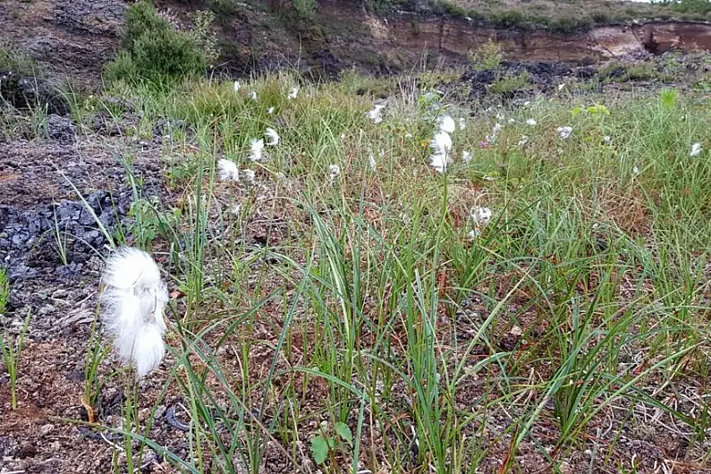 &euro;40,000 for community bog projects across Roscommon