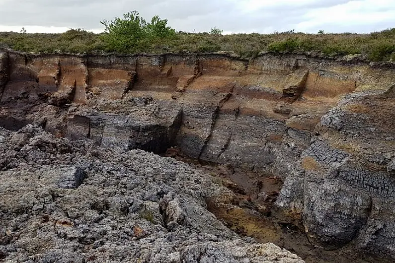 Roscommon TD wants Bord Na Mona to fulfill promise of bog rehabilitation jobs