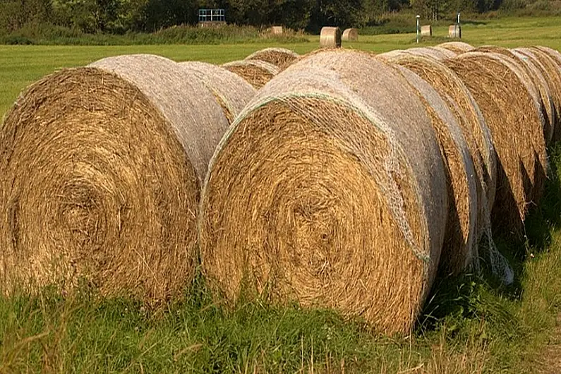 Longford farmer hopes Fodder Committee can help agri sector