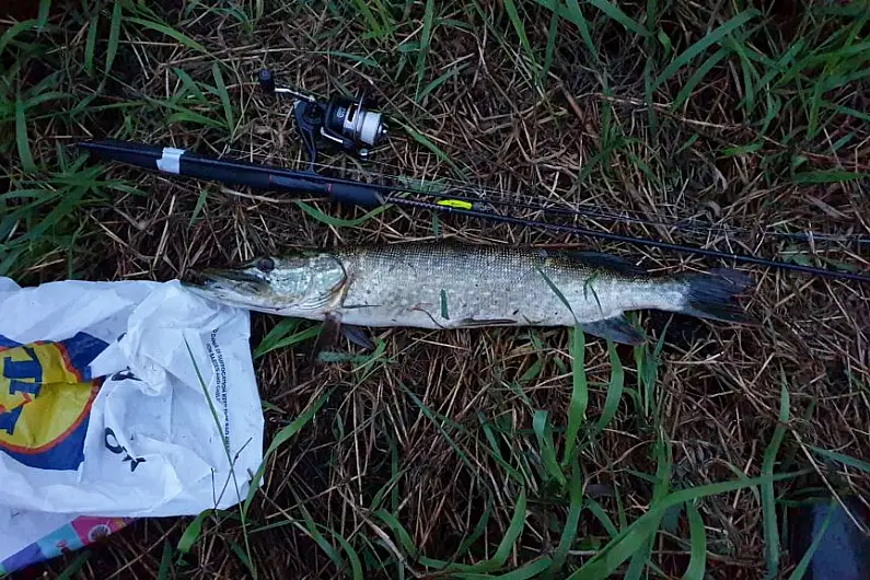 15 seizures of illegal fishing equipment were made by IFI officers in the Shannonside region in 2019.