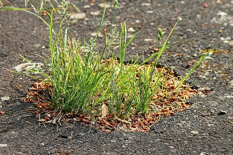 Risk assessments may be needed before Leitrim potholes are fixed during lockdown